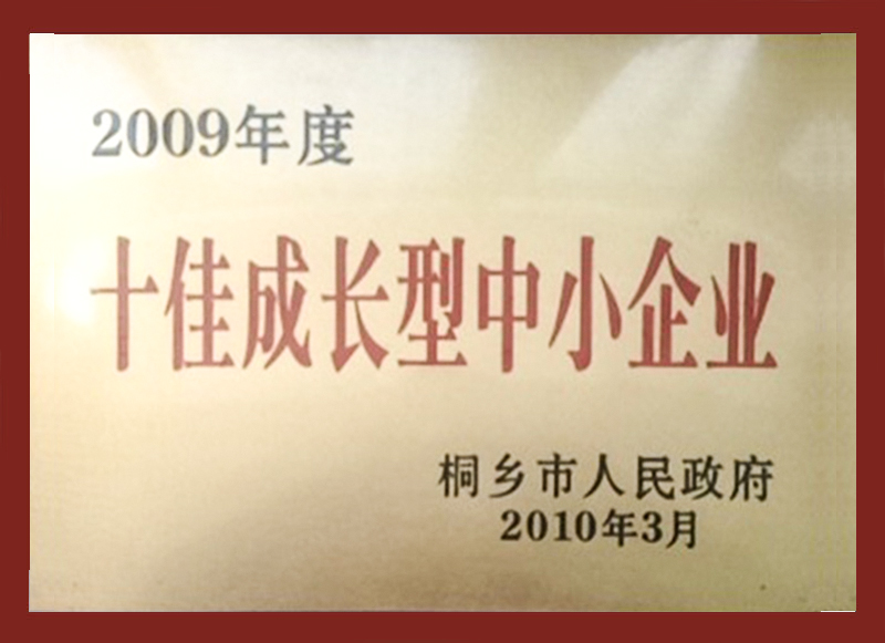 2009年度十佳成長型中小企業