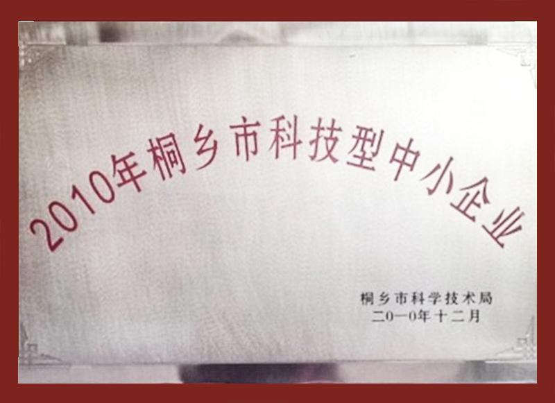 2010年桐鄉市科技型中小企業